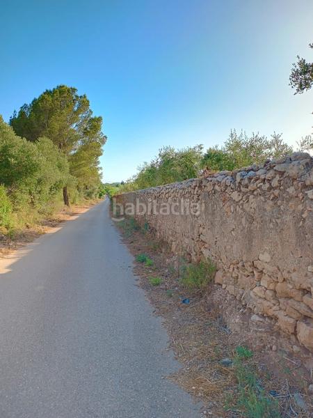 Foto d9c89d6c-f1fc-4bc0-889f-9ad4ff44d03b. Finca rústica en carretera de reus 88 en Alcover