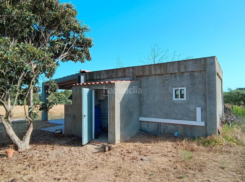 Foto ea2d7356-79e9-4ba9-8013-e4772efbe3aa. Finca rústica en carretera de reus 88 en Alcover