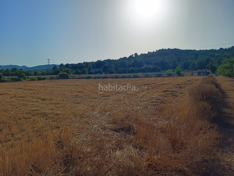 Foto b95171c3-da57-4f14-a0d3-abcc1cdd052b. Finca rústica a n/a a Alcover