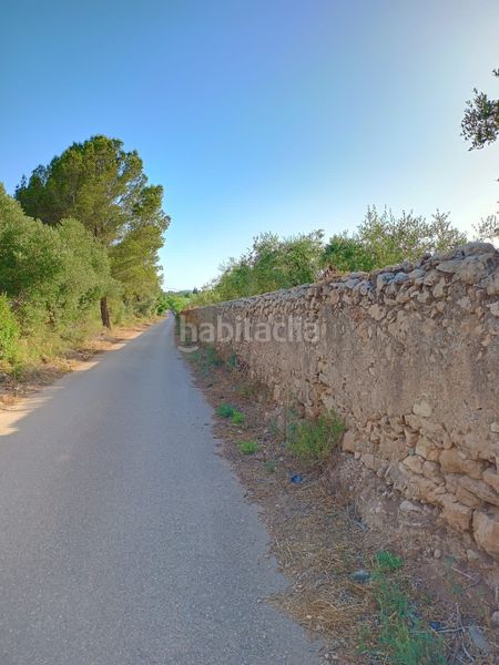 Foto d9c89d6c-f1fc-4bc0-889f-9ad4ff44d03b. Finca rústica a n/a a Alcover
