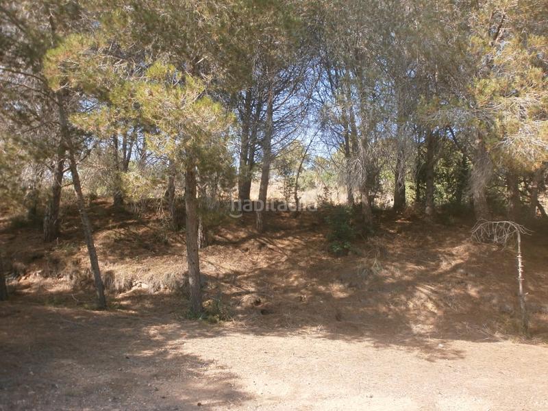 Foto fbc282bf-3b17-41c6-a3dc-760741da04b3. Finca rústica en Vilanova d´Escornalbou