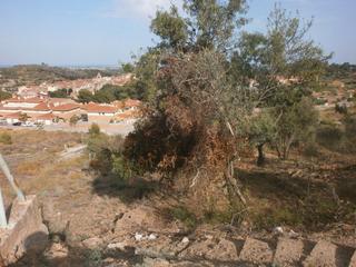 Terreny residencial  Carrer carretera del castell