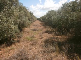 Landgut  N/a