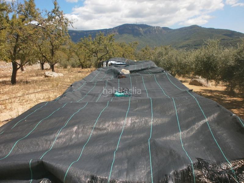 Foto 0d6a413f-2459-48cd-8c73-3a6596b3b67b. Landgut in Aleixar (L´)