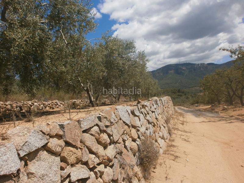 Foto 518319c7-9e0b-495c-aad4-8de01fe18ecf. Landgut in Aleixar (L´)