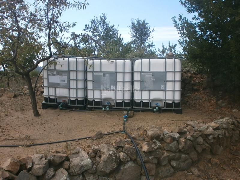 Foto a71cb40a-af7a-46a1-a50e-788316784e49. Landgut in Aleixar (L´)