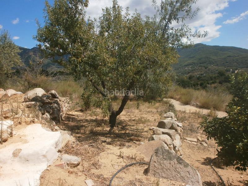 Foto 0f0a4b27-2df8-4bdf-90b1-a360f4891ce0. Finca rústica a Aleixar (L´)