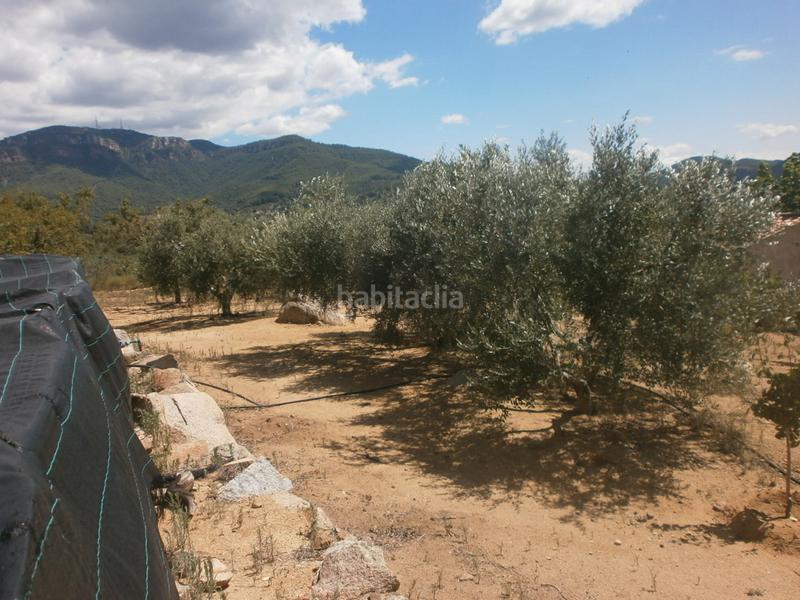 Foto 5e4a2f0a-542f-4d5f-829c-91fef8853afe. Finca rústica a Aleixar (L´)