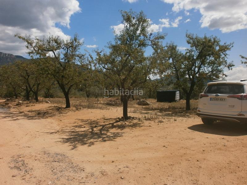 Foto 602d7400-f6b2-430e-be3b-0ec7280d7f3a. Finca rústica a Aleixar (L´)