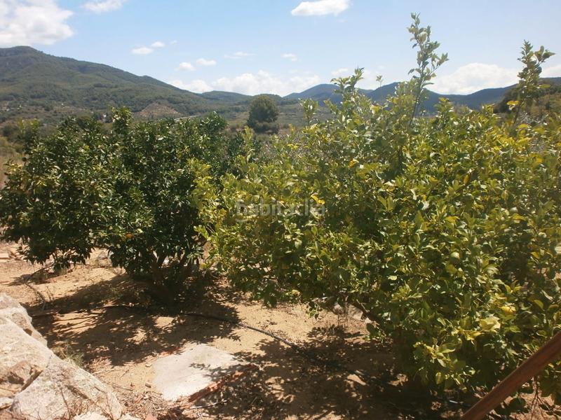 Foto 757c8dcc-95aa-48f5-8912-57e0220baa36. Finca rústica a Aleixar (L´)