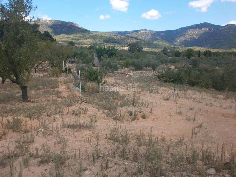Foto c165e079-870d-45b6-b5df-14a47bc1a54f. Finca rústica a Aleixar (L´)