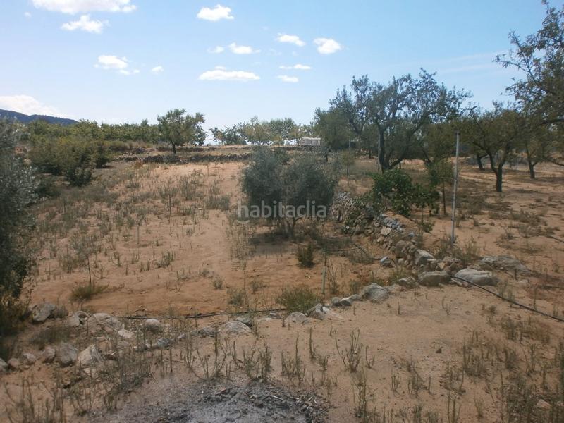 Foto cdad573a-1b25-49b7-b651-7e114a7a7025. Finca rústica a Aleixar (L´)