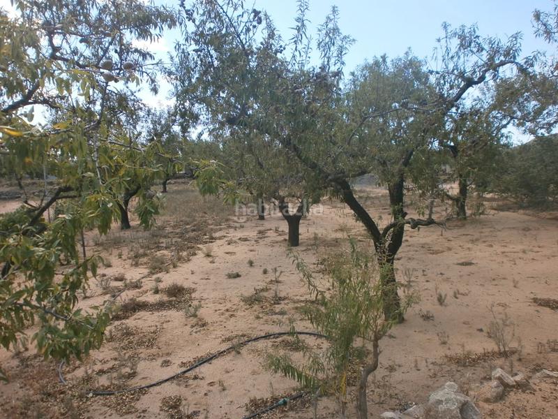 Foto df9e31f2-574f-4ec7-bb72-abe498529906. Finca rústica a Aleixar (L´)