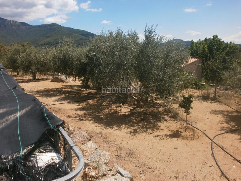 Foto ff1e6eb7-7639-49dd-b75f-1f2f3647eff3. Finca rústica a Aleixar (L´)