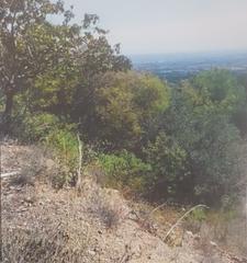Terrain résidentiel à Camí del Coll de Perelló