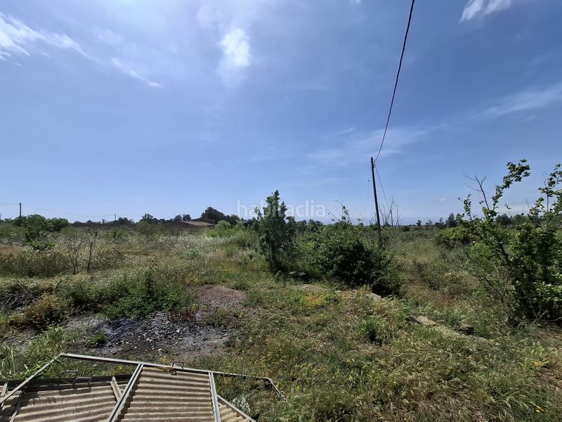 Foto 51d46724-20a3-4c3c-adce-32a04bb88231. Finca rústica a Riudoms