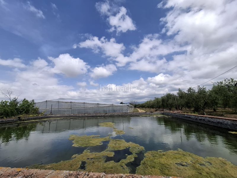 Foto 8bcb4241-c580-4b5f-9d3f-c76303fa78cf. Finca rústica a Riudoms