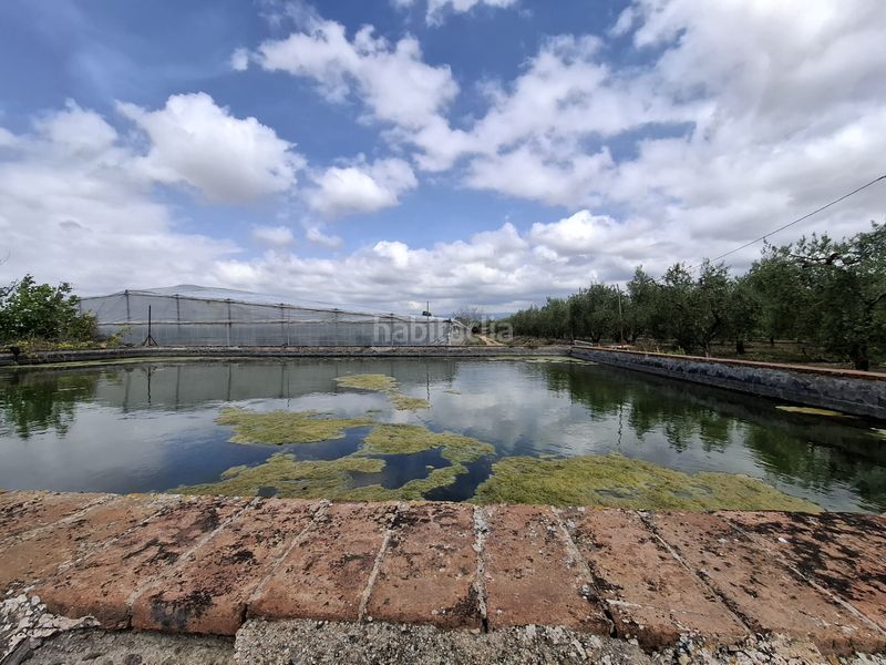 Foto 94c9023c-0c4b-450c-8e35-eeb6d5af2a5f. Finca rústica a Riudoms