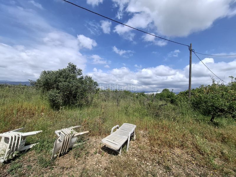 Foto ccccdc43-01aa-47e0-903d-914d5f86f6ab. Finca rústica a Riudoms