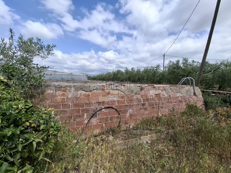 Foto d116c031-e2b5-444d-b42f-79e9282d0891. Finca rústica a Riudoms