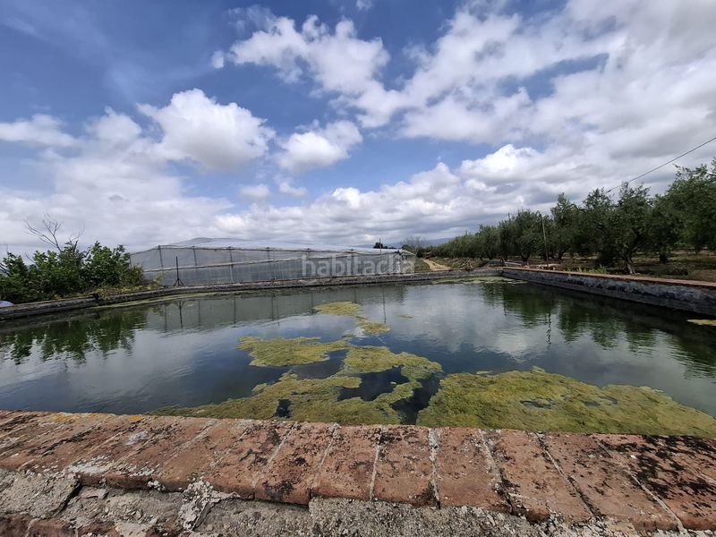 Foto d1d6ffed-f62d-4d5e-83fd-5adc6b4a3dfa. Finca rústica a Riudoms