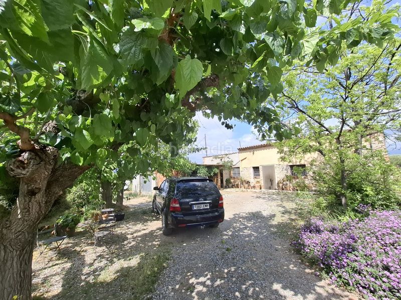 Foto defc361a-a60c-4ab1-9bd7-72d8f8d58adb. Finca rústica a Riudoms