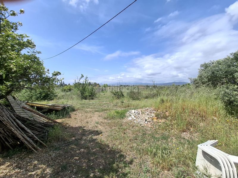 Foto fe26242f-e9be-4c02-ac17-b4be880b7c53. Finca rústica a Riudoms