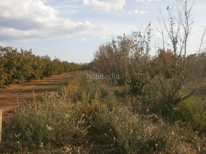 Foto 132a3b43-1b38-4529-b317-25137dc054b3. Rural plot in Rourell (El)