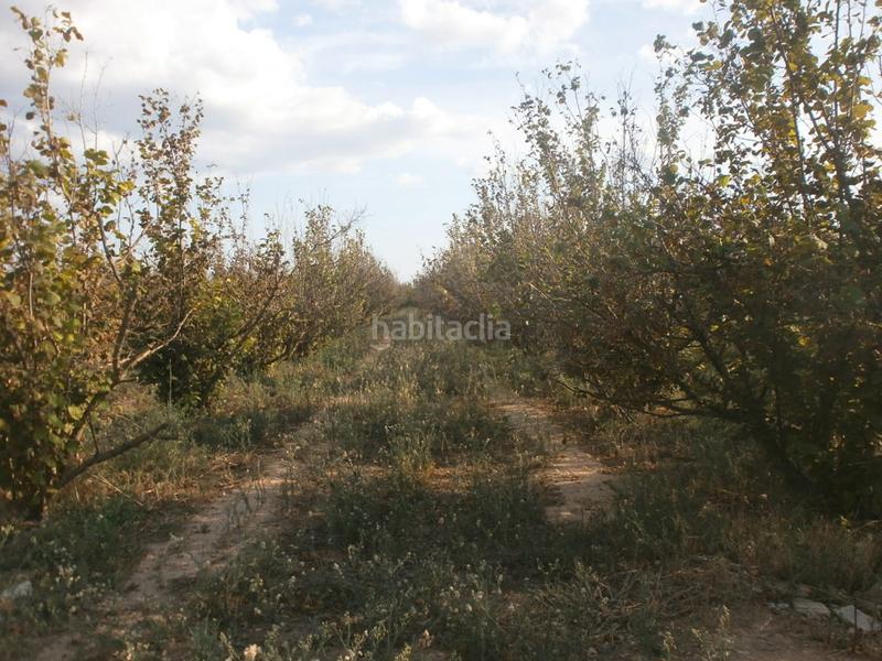 Foto 9b5226b9-e873-4084-9226-caff0a5a69fd. Rural plot in Rourell (El)