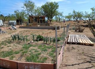 Rural plot in Vilaplana
