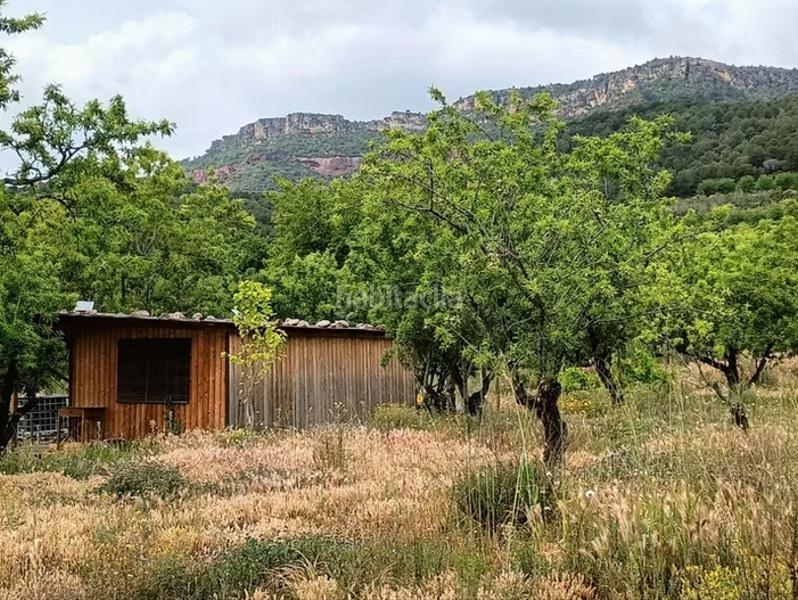 Foto 65904a61-ad19-46d8-bc6b-bf11aa33ed04. Finca rústica en Vilaplana