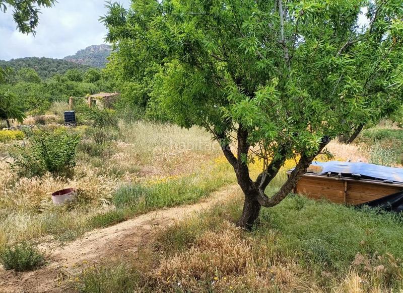 Foto ce06e93a-928d-46c1-ac9d-342bd0e8a531. Finca rústica en Vilaplana