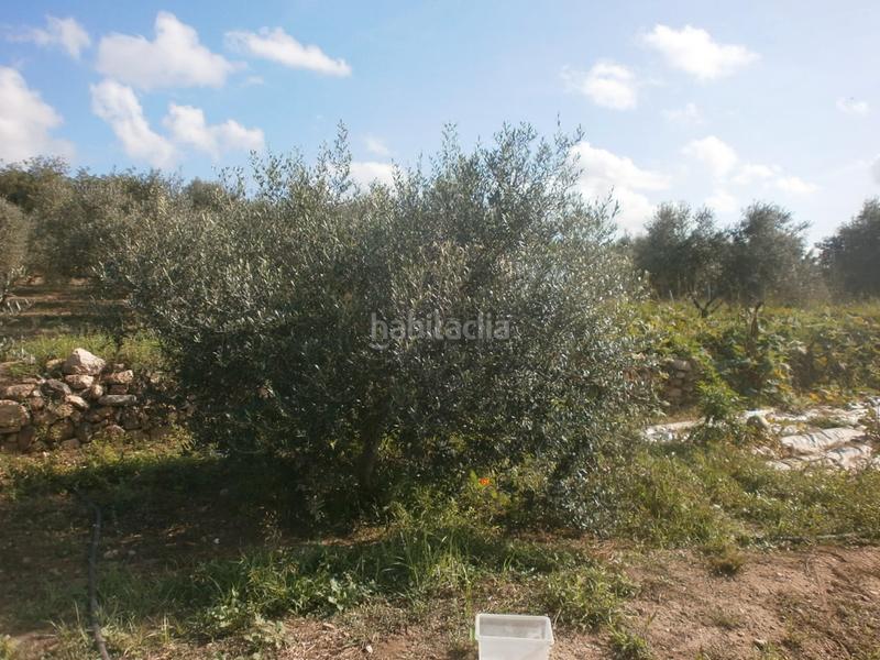 Foto 05048737-14a1-41c2-a615-cf5a8f458ebc. Finca rústica a Ponent Reus