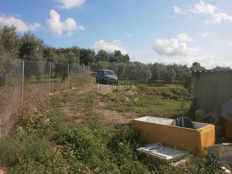 Foto 7b72eb40-7db7-4141-b216-36285f52d281. Finca rústica a Ponent Reus