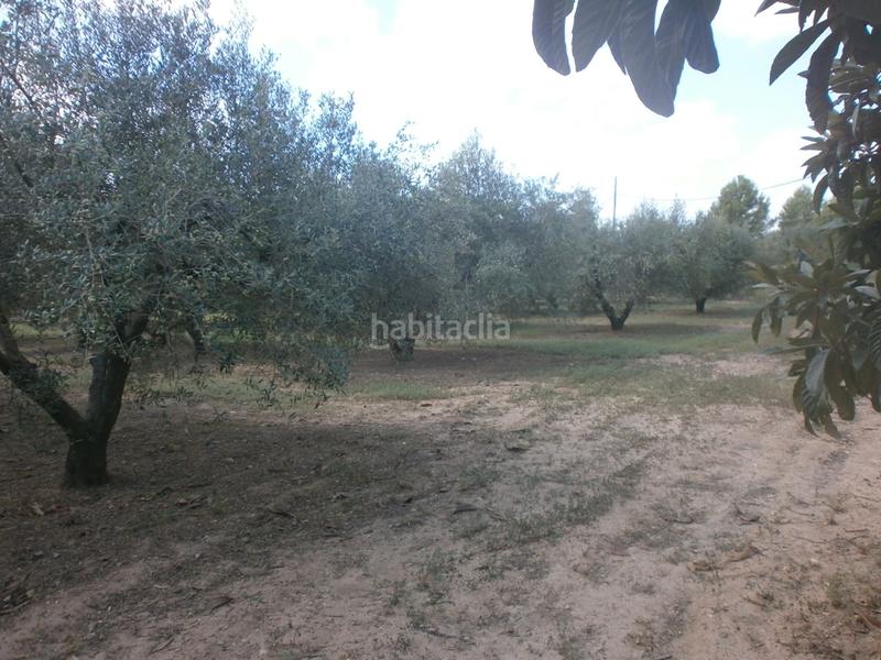 Foto 2c9f83f3-b223-4219-b8d7-704bb2becd18. Finca rústica a Constantí