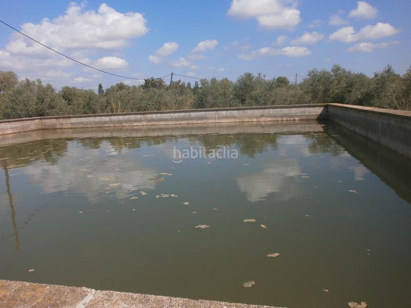 Foto 9ae6597c-8195-46c0-8d03-02a2a7ac22f1. Finca rústica a Constantí