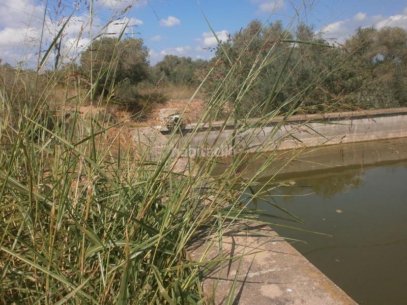 Foto 9c141648-4087-4859-944c-174595aad8bb. Finca rústica a Constantí