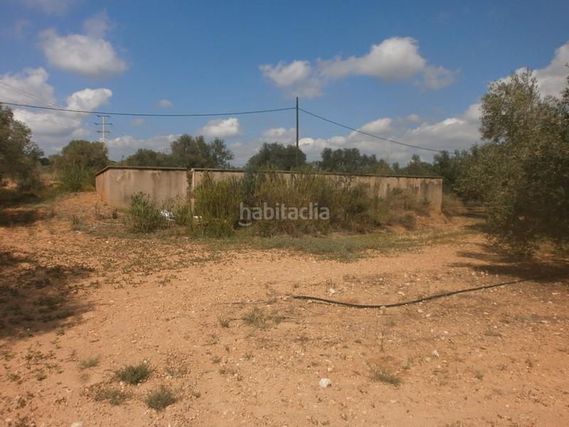 Foto a6851c61-c05d-4299-a228-dc972a8f5c8c. Finca rústica a Constantí