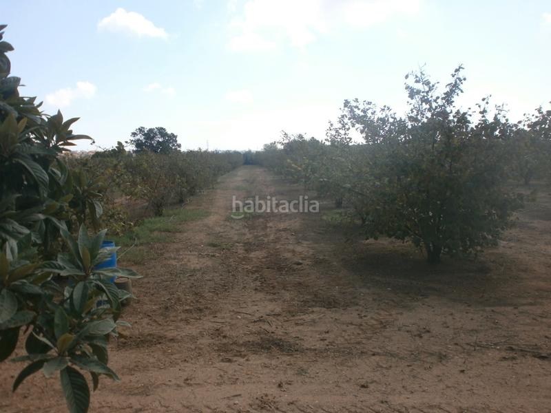 Foto c79abdd4-7497-408c-89c9-9f13c91887fa. Finca rústica a Constantí