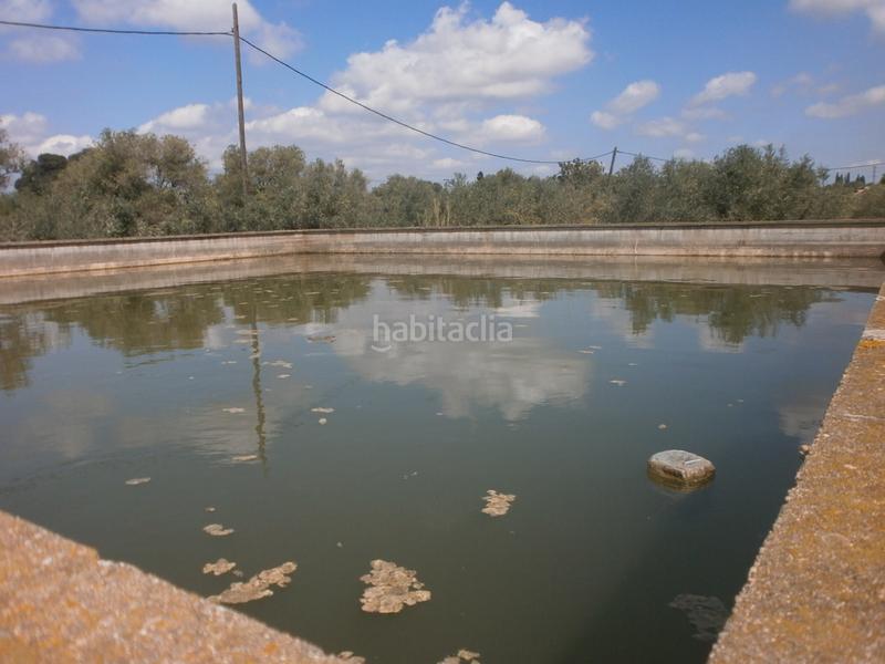 Foto e347d51c-e098-4b69-a48a-f3732a9cb540. Finca rústica a Constantí