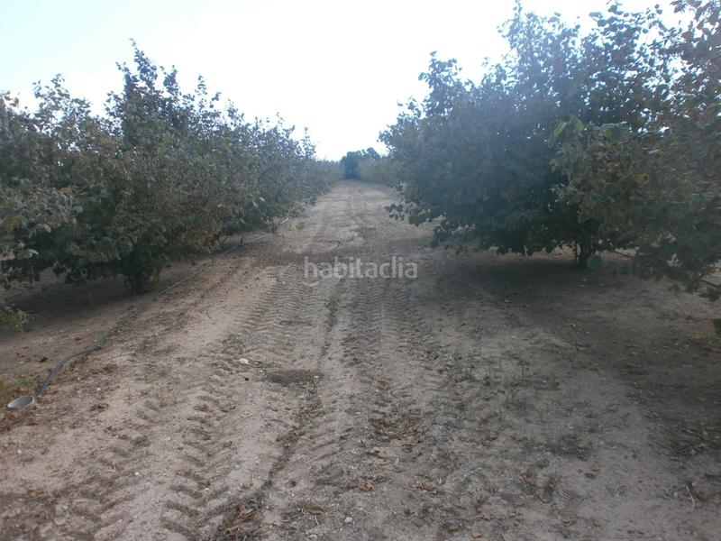 Foto f7fc0160-6255-4dbc-a48b-79ab4b92b1d1. Finca rústica a Constantí