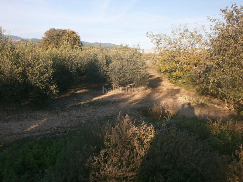 Foto cd28ac89-657c-4902-bdbd-0c93e94dd6e9. Fondo rustico in Ponent Reus