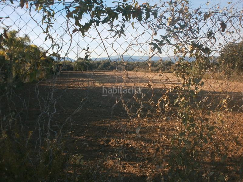 Foto cde0bbdf-e287-48cc-b109-dc7641c26050. Fondo rustico in Ponent Reus