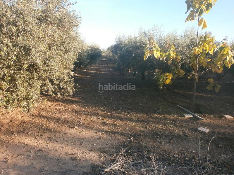 Foto 73735535-4940-49af-b273-f5898651d70a. Propriété dans Ponent Reus