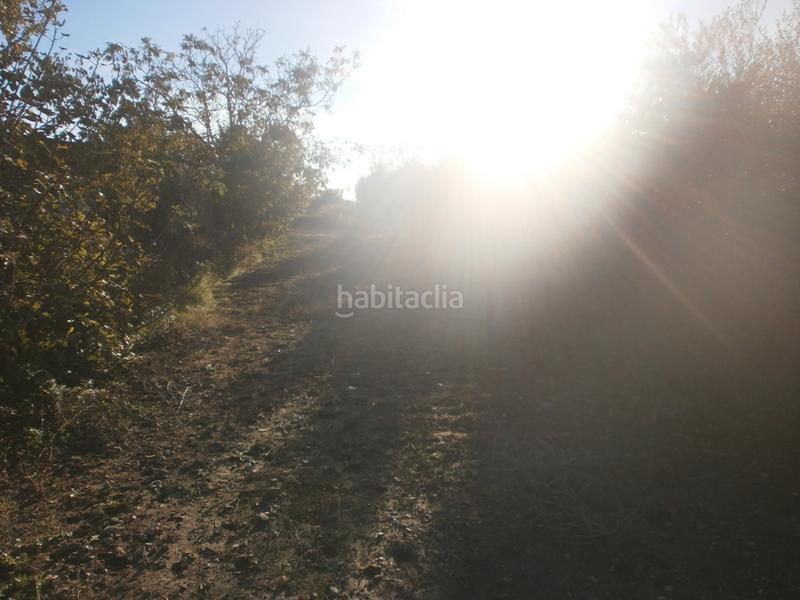 Foto e6714d8a-2f4a-4552-9d15-939151b531d5. Finca rústica a Ponent Reus