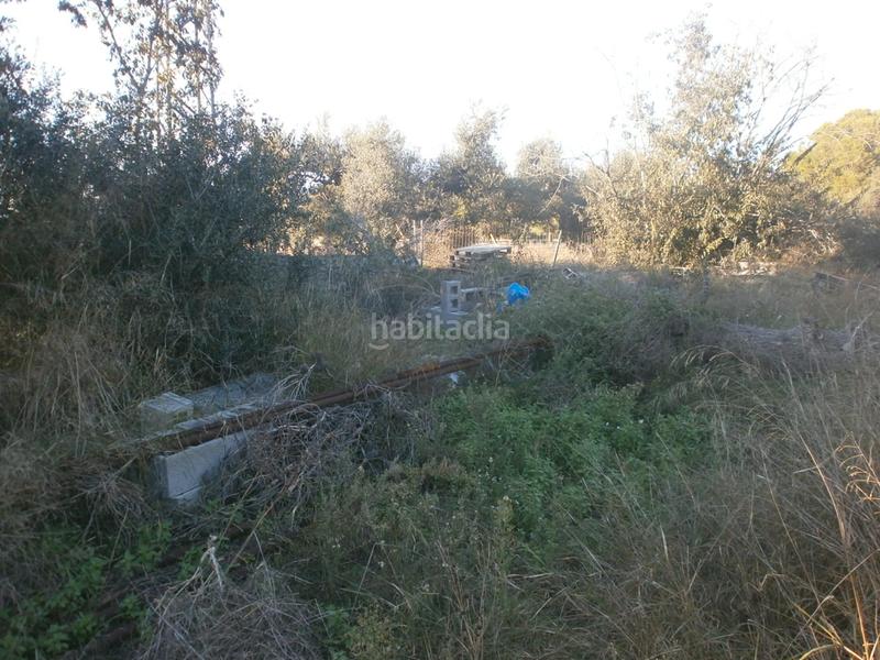 Foto d3612582-ba12-408e-b009-5201a34d640d. Finca rústica en Ponent Reus
