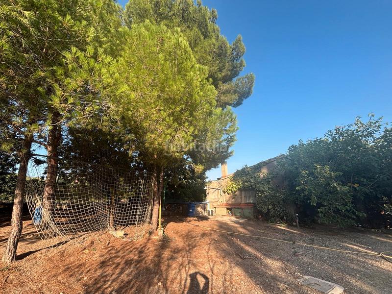 Foto 3adffa2b-c003-4c3b-b217-97be5c020c2d. Fondo rustico in Ponent Reus