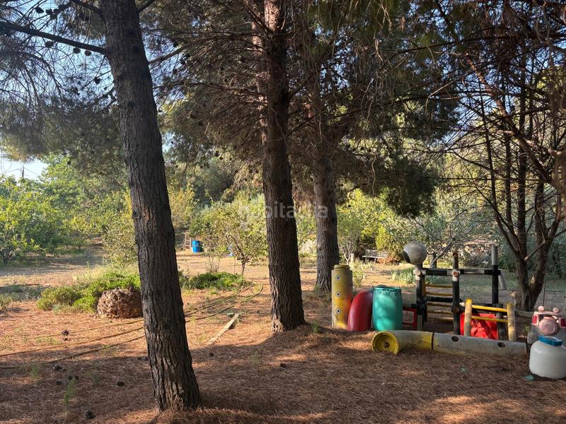 Foto d8f45094-ef62-40d5-91dd-53763617cc31. Fondo rustico in Ponent Reus