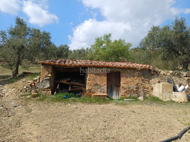 Foto 0d924599-79c9-453b-8003-73cea7d1caea. Finca rústica a Riudecanyes