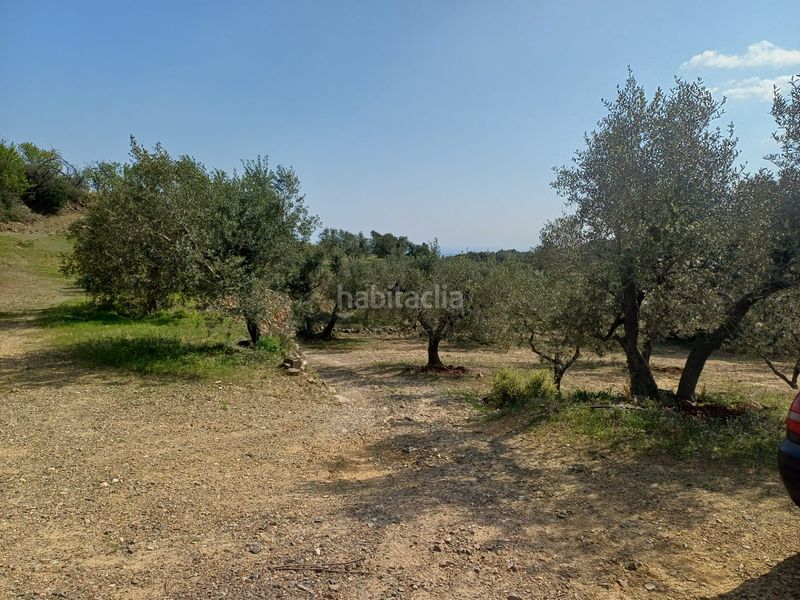 Foto 25c03e76-3390-4424-bbdb-0bd3efdfaafd. Finca rústica a Riudecanyes